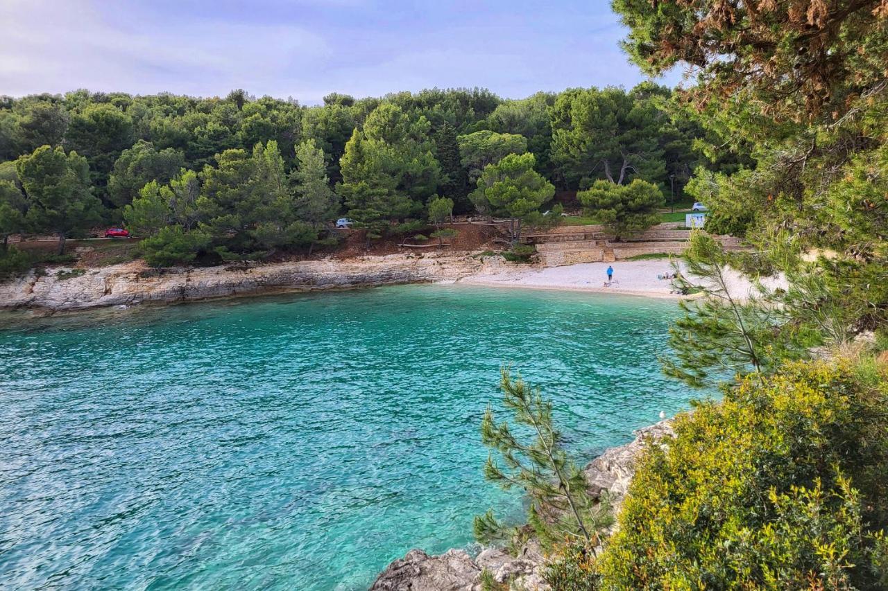 Luseven - Vacation Near To And Apartma *